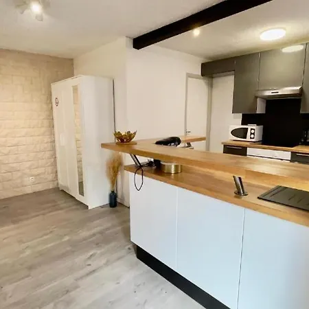 Apartment Le Faubourg Raines - 4 Prs, 1 Ch, Proche Gare Dijon